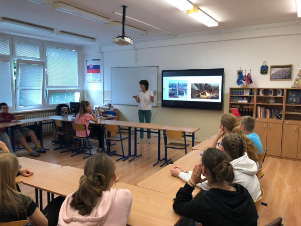 Szakmai látogatás (job shadowing)